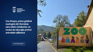 Zoo Brașov, prima grădină zoologică din România cu modul educativ pentru vizitatori