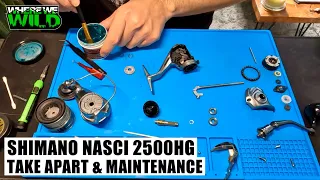 SHIMANO NASCI 2500HG - Take Apart & Reel Maintenance