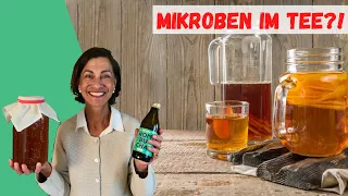 Kombucha selber fermentieren | Ernährungsexpertin Dagmar von Cramm erklärt