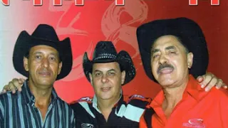 Leone, Leonito e Mangabinha ( Trio Parada Dura ) # Taças de Vinho #