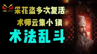 采花大盗多次死而复生，江湖术法师齐聚小镇，术法大乱斗。