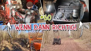 Güldner g40 | jetzt geht's an den Motor | Forstseilwinde im Einsatz | oldtimer_junkie