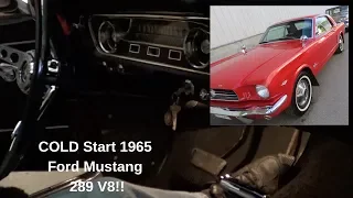 1965 Ford Mustang COLD Start!! 289 V8