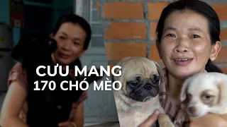 Người mẹ đơn thân hiến đất lập trại cưu mang hàng trăm chó mèo