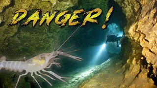 The Dangers of Cave Diving (reviewing the rules)