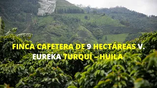 FINCA CAFETERA EN TARQUÍ - HUILA