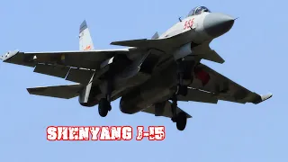 Shenyang J-15 - How powerful is Chinese carrier-based fighter aircraft?