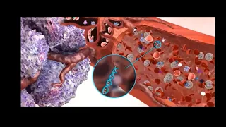 PhD Thesis Pitch: Developing liquid biopsy platforms for cancer biomarker detection - Pritam Bordhan