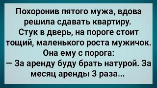 Как Вдова За Аренду Натурой Брала! Сборник Свежих Анекдотов! Юмор!