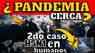 ¡ALERTA! GRIPE AVIAR SIGUE AVANZANDO - SE DETECTA SEGUNDO CASO DE TRANSMISIÓN DE VACA A HUMANO !!!