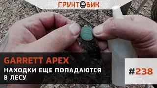 #238 Находки еще попадаются в лесу. Поиск с Garrett Apex