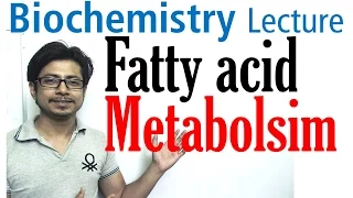 Fatty acid metabolism digestion and transport