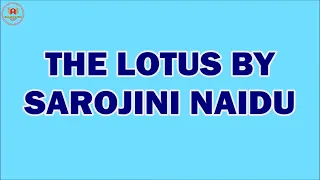 The Lotus by Sarojini Naidu || summary of The Lotus