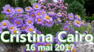 Cristina Cairo 16/05/2017 - Joelhos