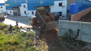 Wonderful! Technique Land filling Operator Bulldozer d31p Komatsu Push the soil And Small Dump Truck