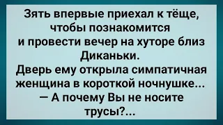 Зять Приехал к Теще на Хутор Близ Диканьки! Сборник Свежих Анекдотов! Юмор!