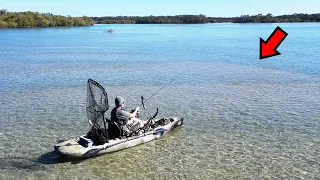 Fishing Shallow Water for Giant Fish!!
