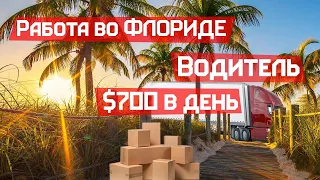 Работа во Флориде во время карантина за $700 в день водителем