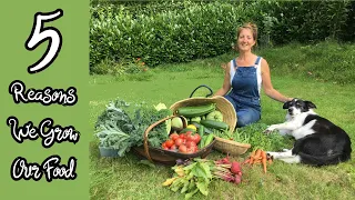 Why We Grow Our Own Food? | Tips For Starting a Vegetable Garden | No Garden? No Problem...?