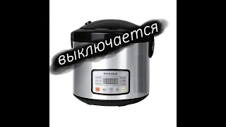 The multicooker turns on, starts working and turns off after a few seconds. Redmond RMC M4526 