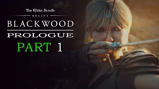 Elder Scrolls Online: Blackwood Prologue | Part 1: A Mortal's Touch | Gates of Oblivion