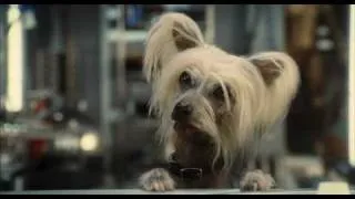 Cats & Dogs 2 Кошки против Собак Месть Китти Галор - Trailer 2010