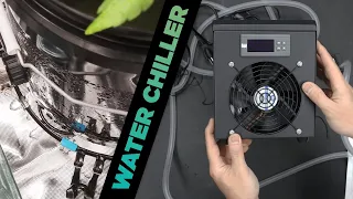 Cheapest Water Chiller for Small Hydro RDWC DWC