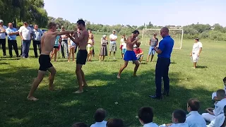 muay thai показательные бои