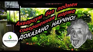 Аквариум без подмен воды научное обоснование содержания. Основы содержания растительного аквариума.