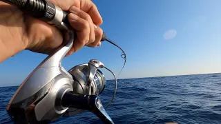 Mahi Mahi FAD fishing compilation