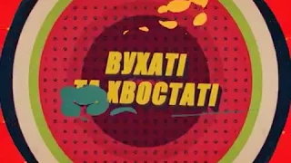 Вух та Хвост на 14 10 2017