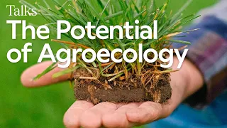 The Transformation Potencial of Agroecology