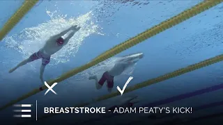 Adam Peaty's | Breaststroke Kick! | Swim Technique