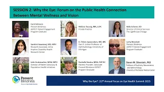 Why the Eye? Forum on the Public Health Connection Between Mental Wellness and Vision - Part 2