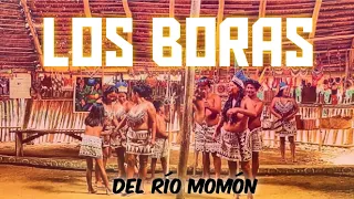 "LOS BORAS DEL RIO MOMÓN" Iquitos - Perú 2021.