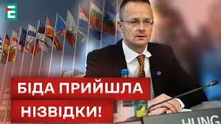 ❗❗ ЗАСІДАННЯ КОМІТЕТУ МІНІСТРІВ РОЗПОЧАТО! БЕЗ ПРОБЛЕМ НЕ ОБІЙШЛОСЯ!?