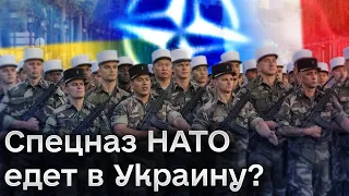 ❓ Макрон отправит французский спецназ НАТО в Украину?