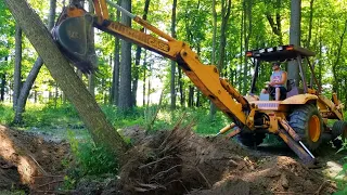 Backhoe or Chainsaw?  Two Methods of Tree Removal!