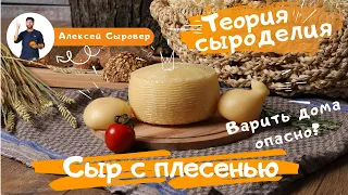 Сыр с плесенью.  Варить дома опасно?