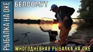 Многодневная рыбалка на реке Ока в п. Белоомут, 5 суток на реке