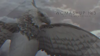 WCMASHUP №3 -- FULL / COMPLETE