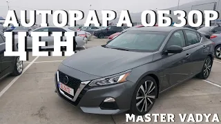 Обзор цен AUTOPAPA. Реальные цены и состояние! АвтоТур.