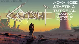 Kenshi Advanced Starter Tutorial 22000-25000 Cats in 1-2 ingame days