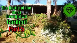 Part 5: The Battle of the OVERGROWN GARDEN!