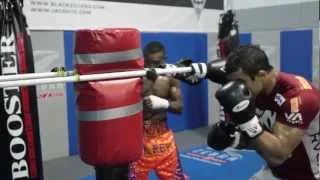 "El Chacal" Guillermo Rigondeaux vs Nonito Donaire: Training Highlights