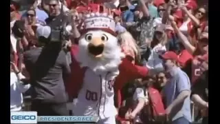 Screech wins Nationals Presidents Race