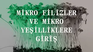 Yeni Yurttaşlık Ritüelleri Atölyeleri: Mikro Filizler ve Mikro Yeşilliklere Giriş