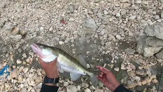 GHINDARESTI,PESCUIT LA SALAU PE DUNARE IN FAMILIE