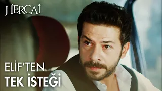 Azat Reyyan'ı görmeye mecbur! - Hercai Efsane Sahneler