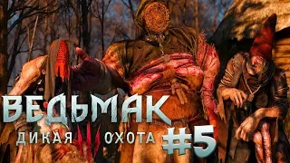 Прохождение Ведьмак 3: Дикая Охота (The Witcher 3: Wild Hunt) — Часть 5: Хозяйки Леса